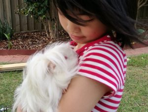 guinea pigs as pets, best pets for kids