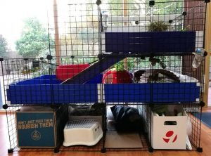 indoor guinea pig cage, C&C cages