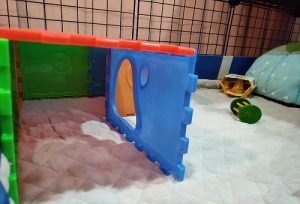 guinea pig toy tunnel